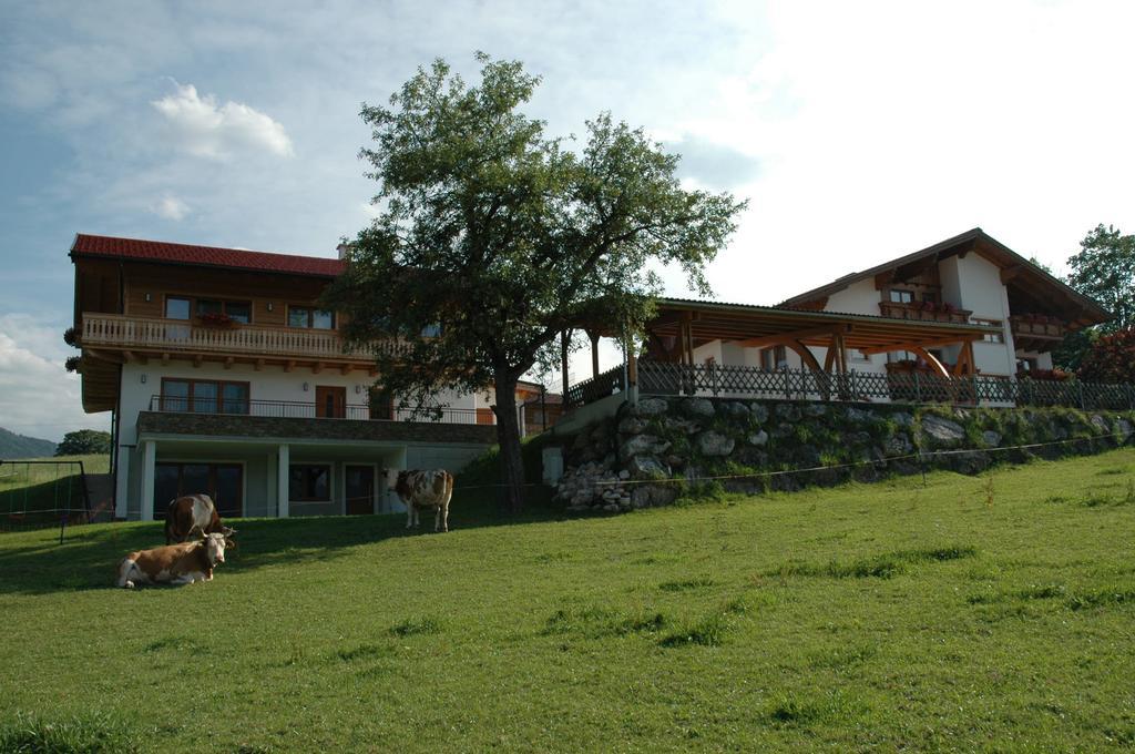 Ferienhaus U. Appartement Knauss Schladming Exteriör bild
